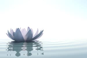 Conscious Sedation Conscious Sedation