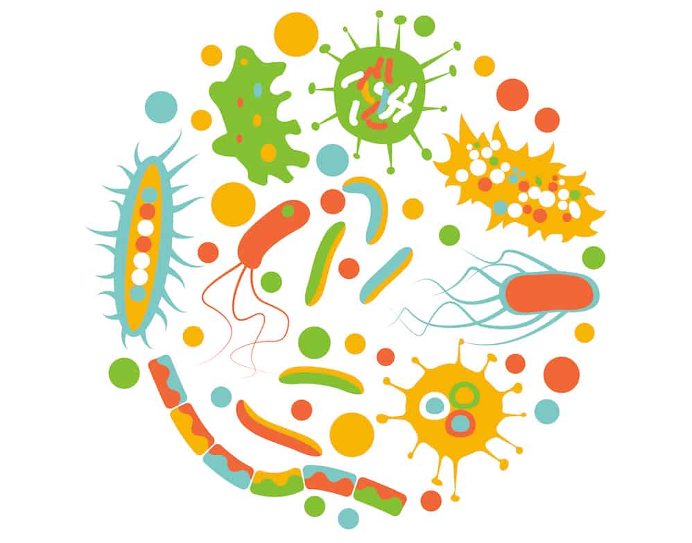 The Oral Microbiome Image 2