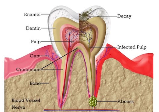 root cana therapy west london image